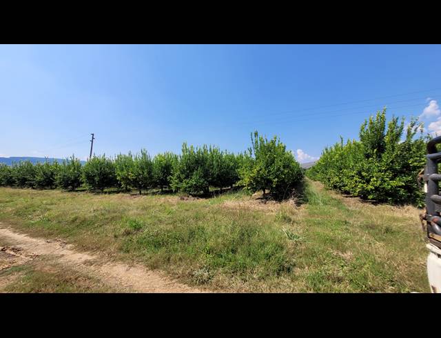 135HA FARM FOR SALE IN NELSPRUIT RURAL